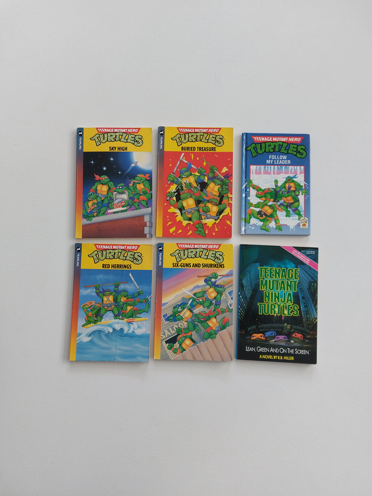 Teenage Mutant Ninja Turtles bundle