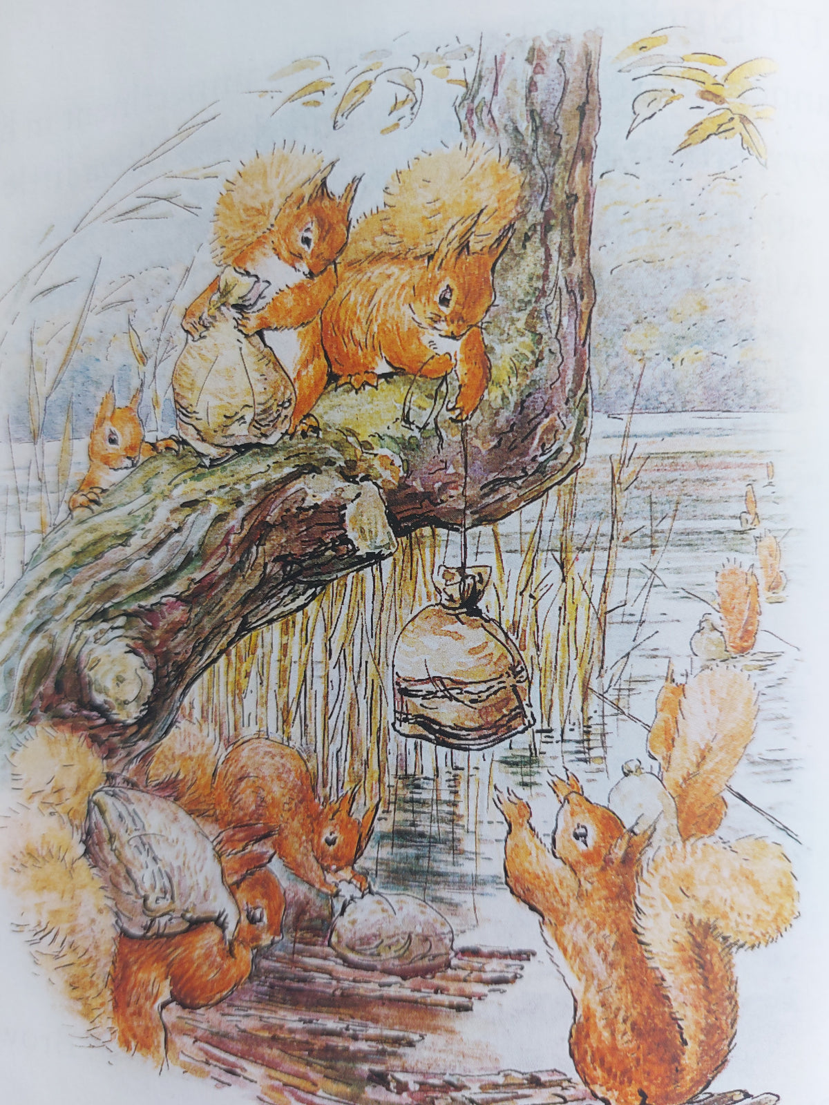 The Tale of Squirrel Nutkin - Beatrix Potter