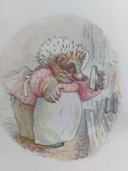 The Tale of Mrs Tiggy-Winkle - Beatrix Potter