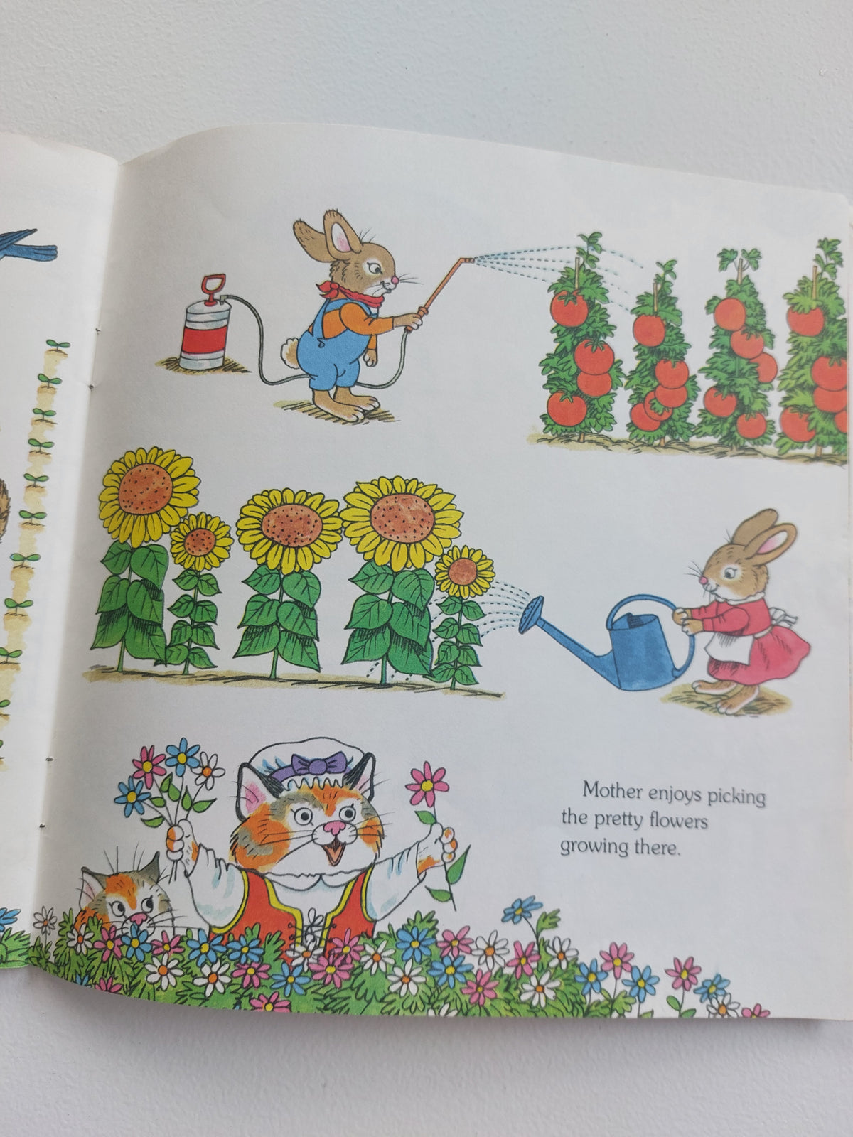 Richard Scarry's Things to Love