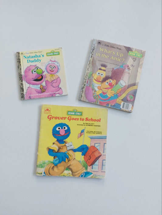 Sesame Street Bundle x3