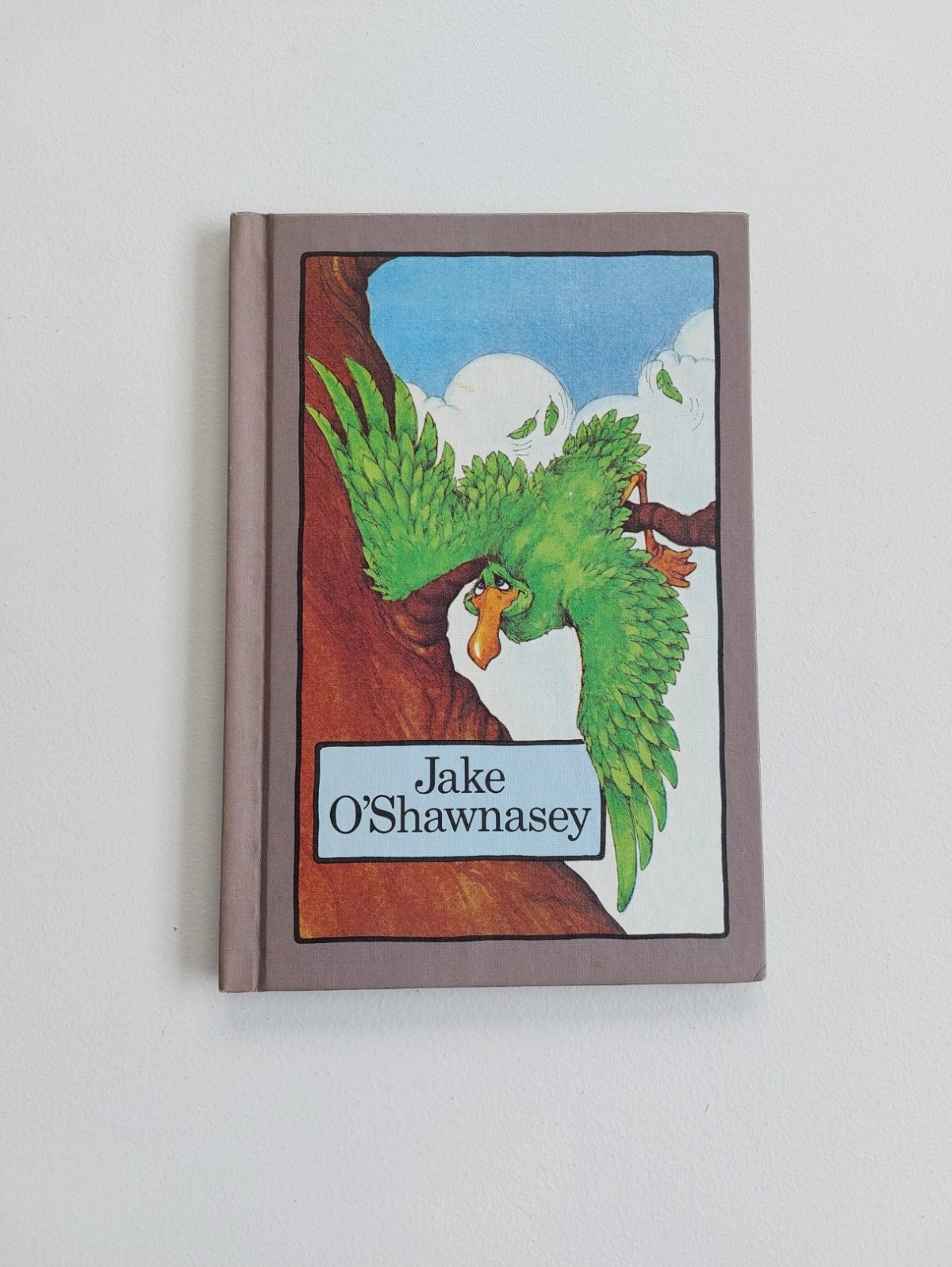Jake O'Shawnasey