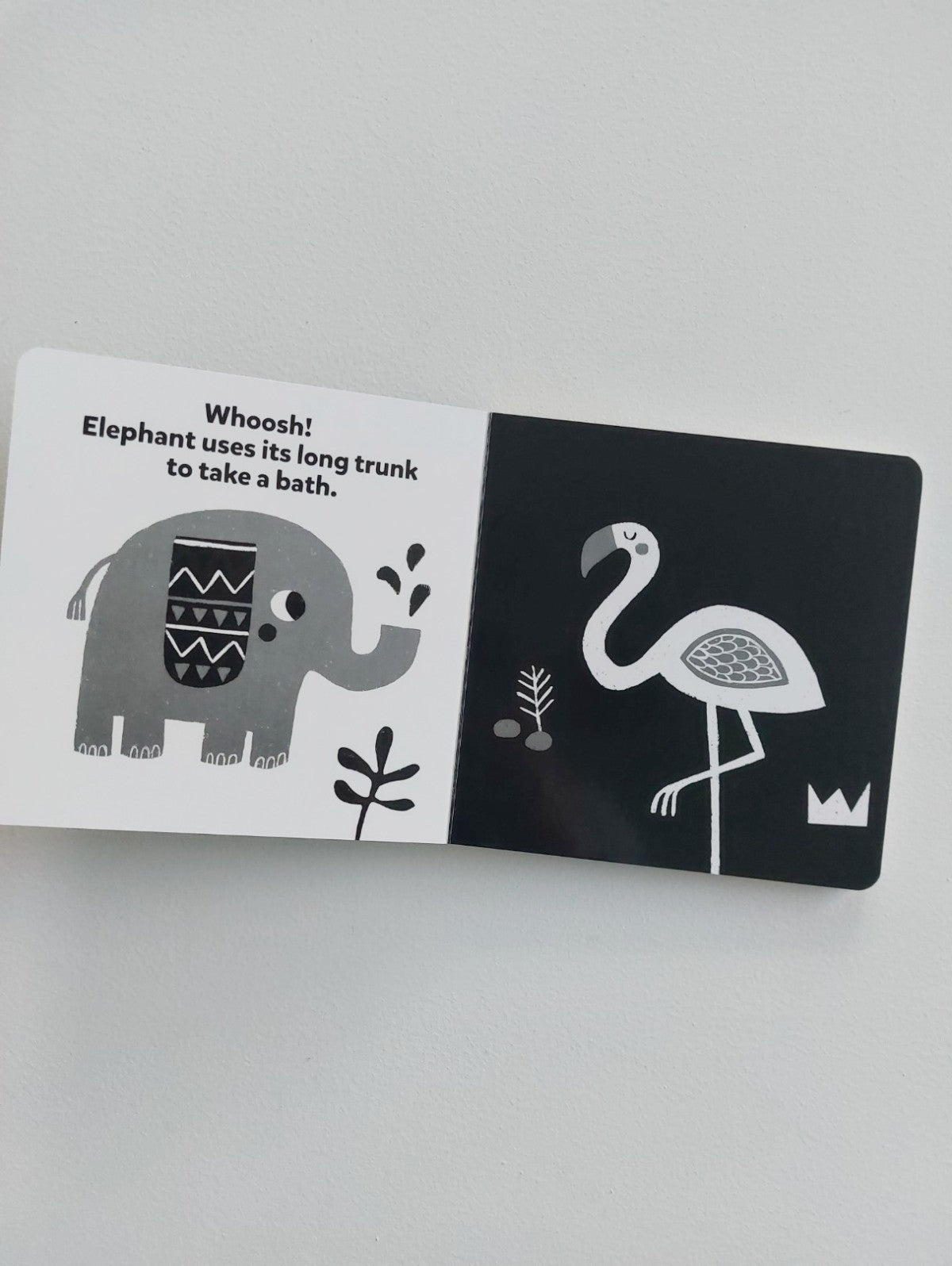 Animals board book