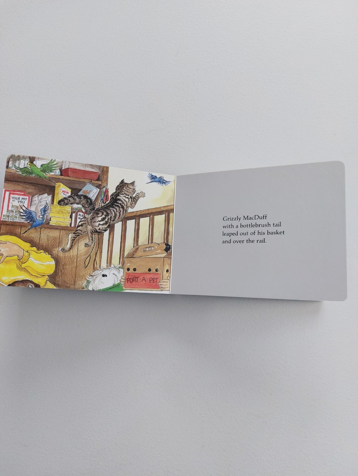 Rumpus at the Vet board book - Lynley Dodd