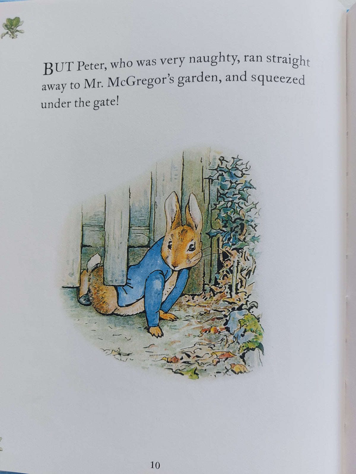 The Tale of Peter Rabbit - Beatrix Potter